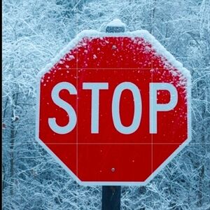 The grinch Cindy lou who 40 oz stainless steel tumbler new